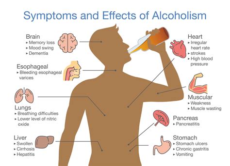 Waarom Drinken Van Alcohol Vernietigt Een Gezond Lichaam